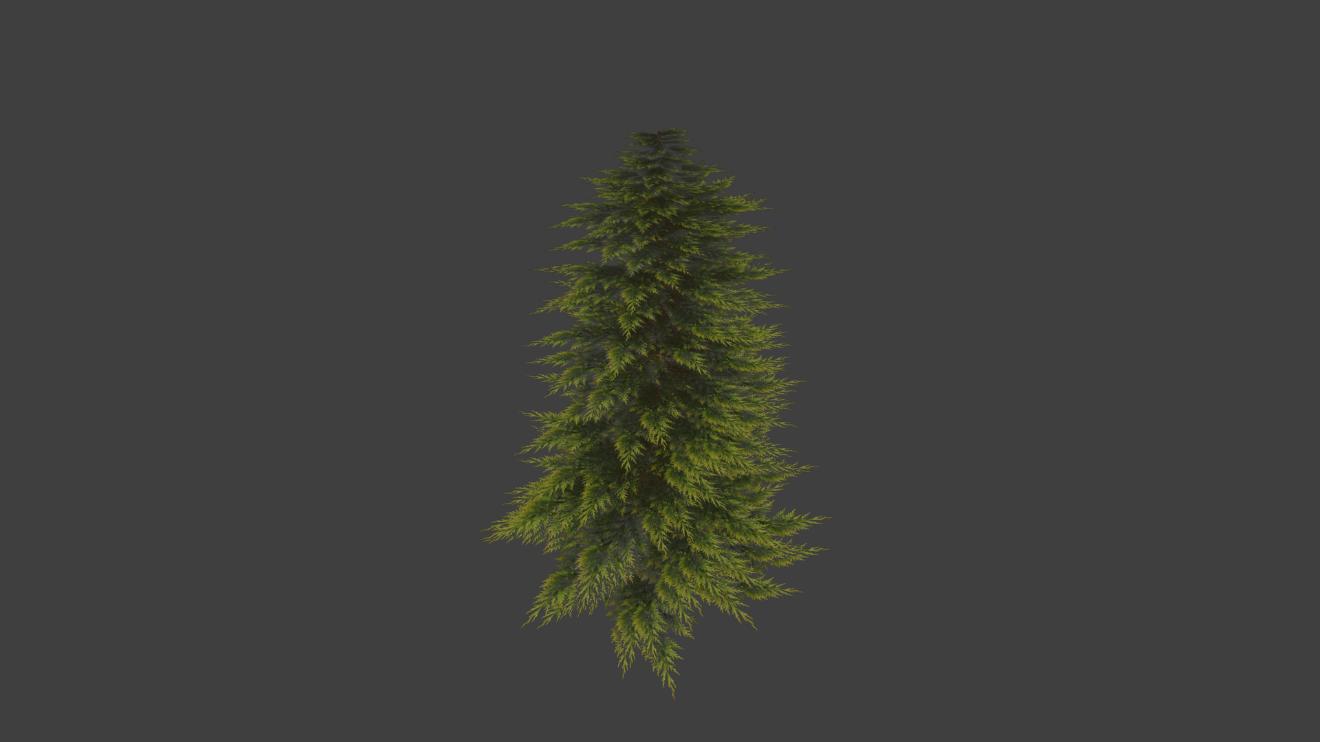 tree_zpsj7geruq1.png