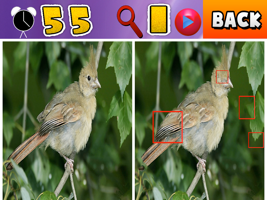 photo level1_zps1bfd5db1.png
