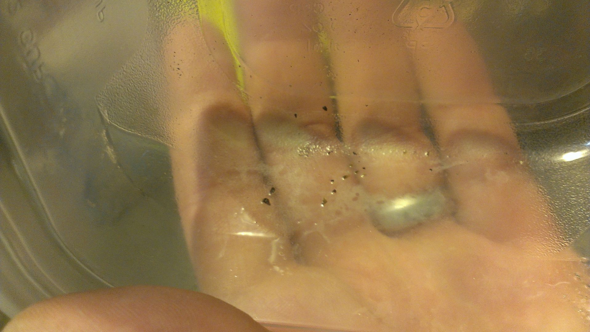 Float bowl vent slight fuel drip after turning off the bike Kawasaki