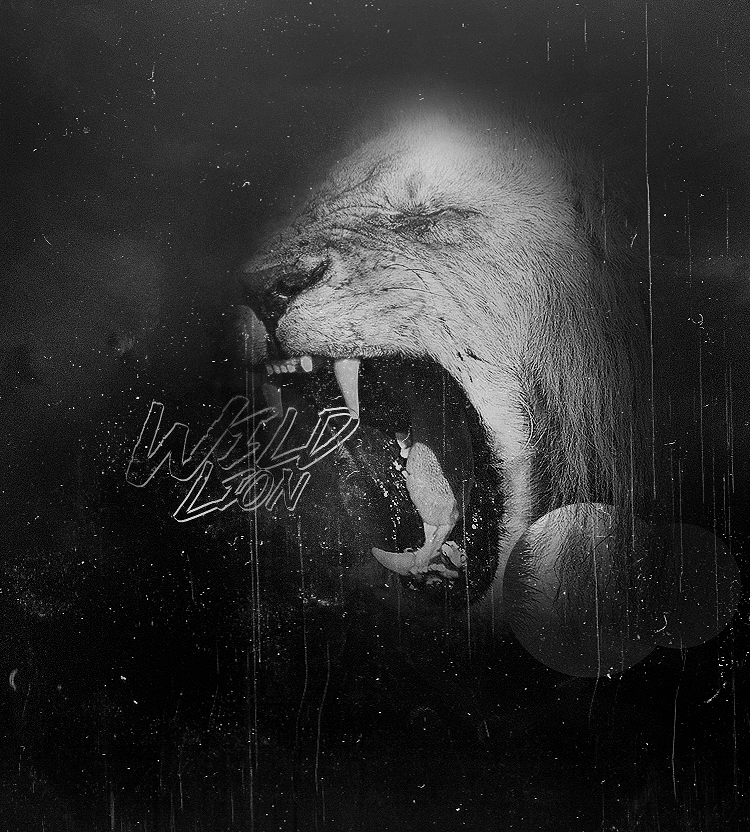 [​IMG]