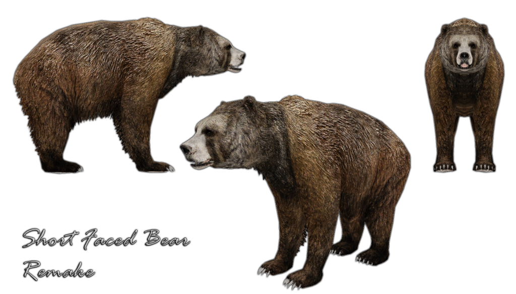 http://i1337.photobucket.com/albums/o667/MisterNublar/Designs/Short-Faced-Bear_zpsbba18d64.png