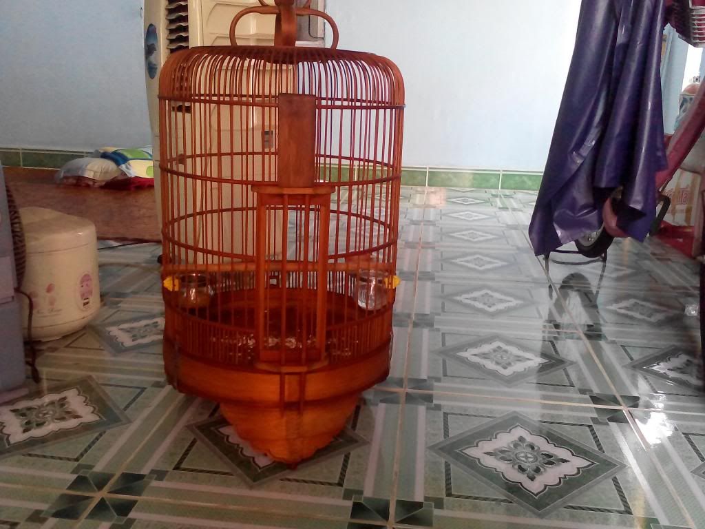 Lồng kiếm và chòe đất