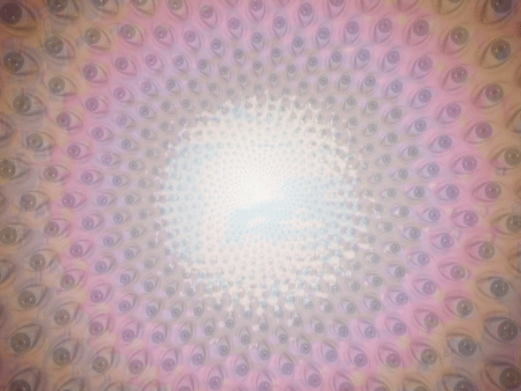 Emily Pothast at Hedreen Gallery Sunday, February 22, 2015 6pm FREE Emily Pothast at Hedreen Gallery Sunday, February 22, 2015 6pm FREE
