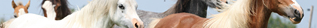 Kasvatus photo 433b88d1be66b89a68a12bc3da17187c_zps569b088a.png
