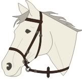 Kuolaimettomat suitset photo suit_ba6_2_zps219e2fdb.jpg