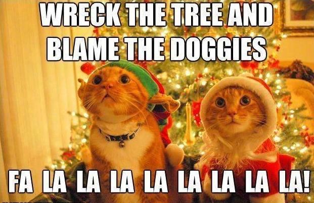  photo a-ha-ha-cat-christmas-funny-wreck-the-tree.jpg