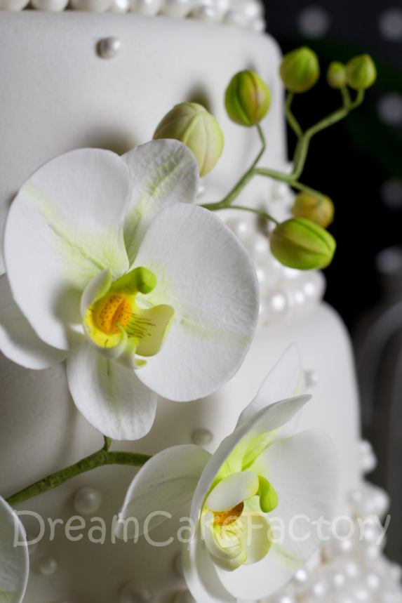  photo dreamcakefactory-taarten-bestellen-orchideen-bloemen-how-to-parels-bruidstaart1_zpsa4fc934e.png
