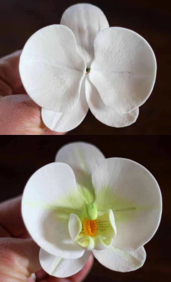  photo how-to-hoe-maak-je-orchideen-foto-taart-fondant-marsepein-bloemen-stap-voor-stap-tutorial7_zps2d0436e9.png