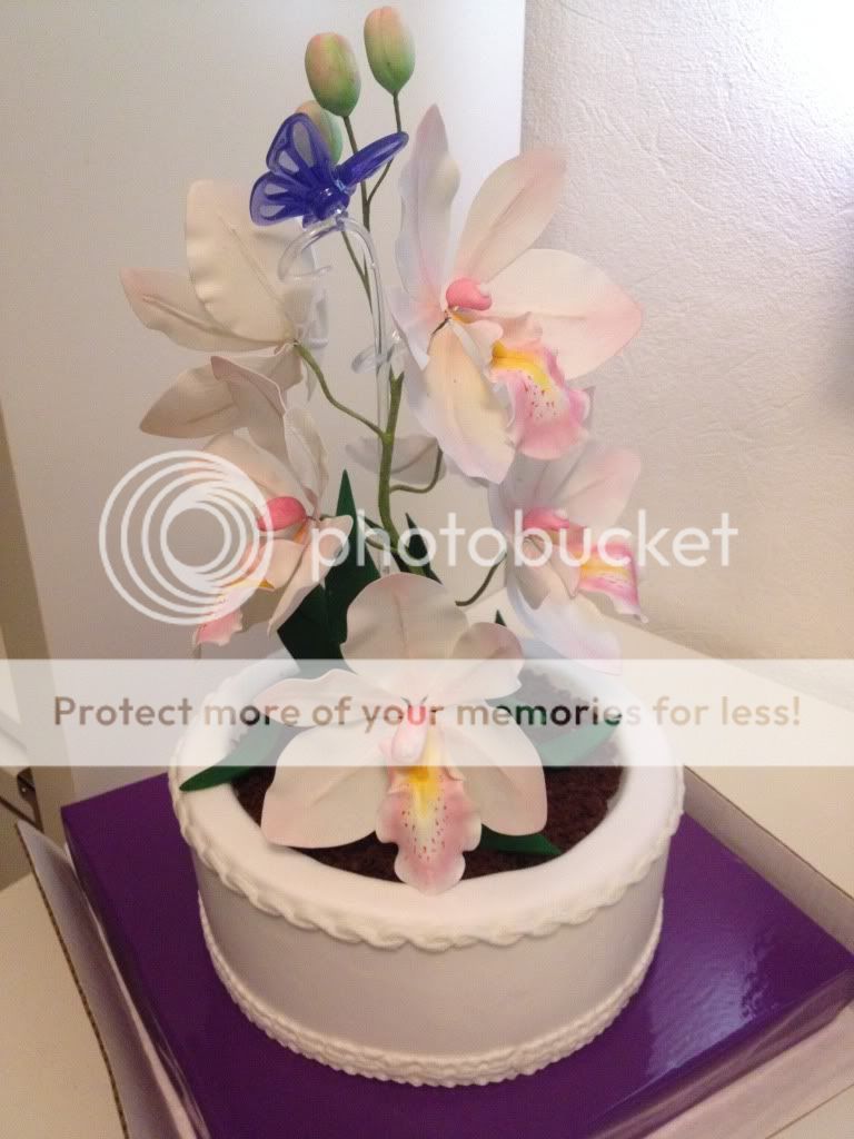 Photobucket Pictures, Images and Photos