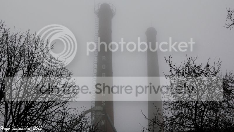  photo IMG_0342_zpsfd4553ef.jpg